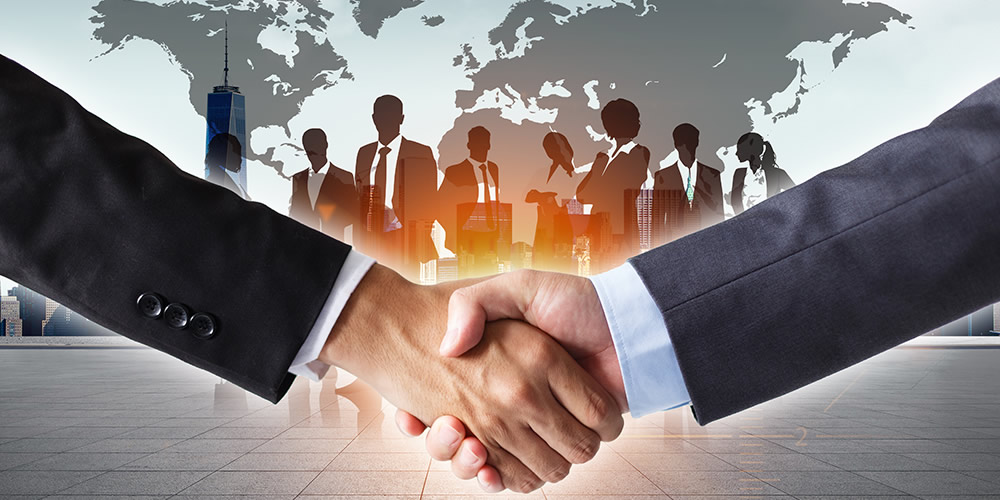 皮壳机、成型机研发团队